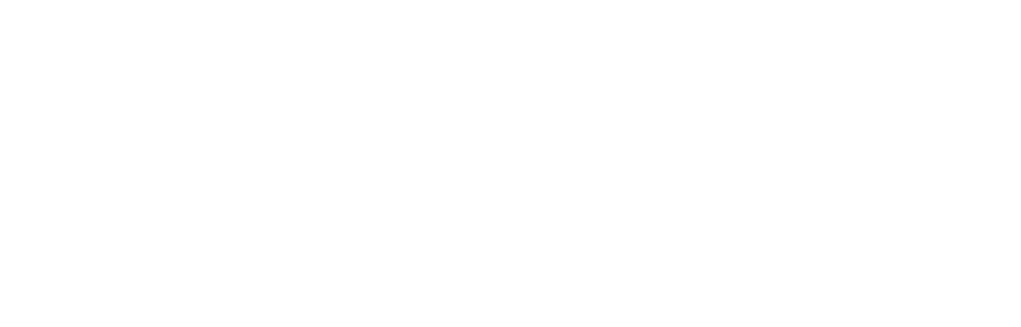 DEEVO Logo Branca